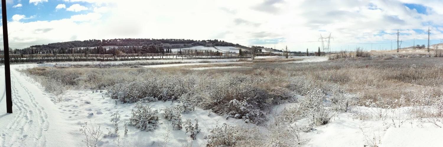 Eduardo Díaz banner