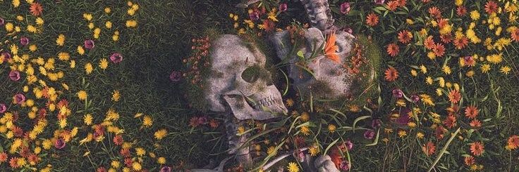 raeo6660's profile banner image