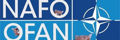 André 🇸🇪🇪🇺 banner