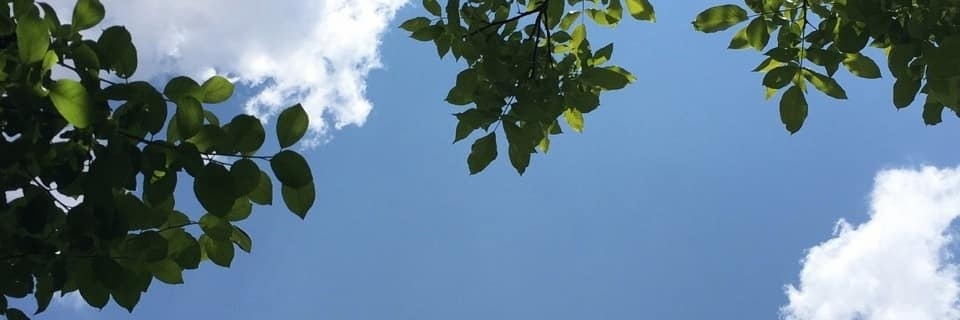 _sammm8's profile banner image