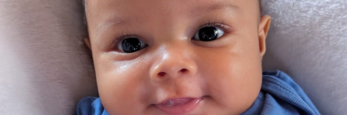 DNicolleEstevez's profile banner image