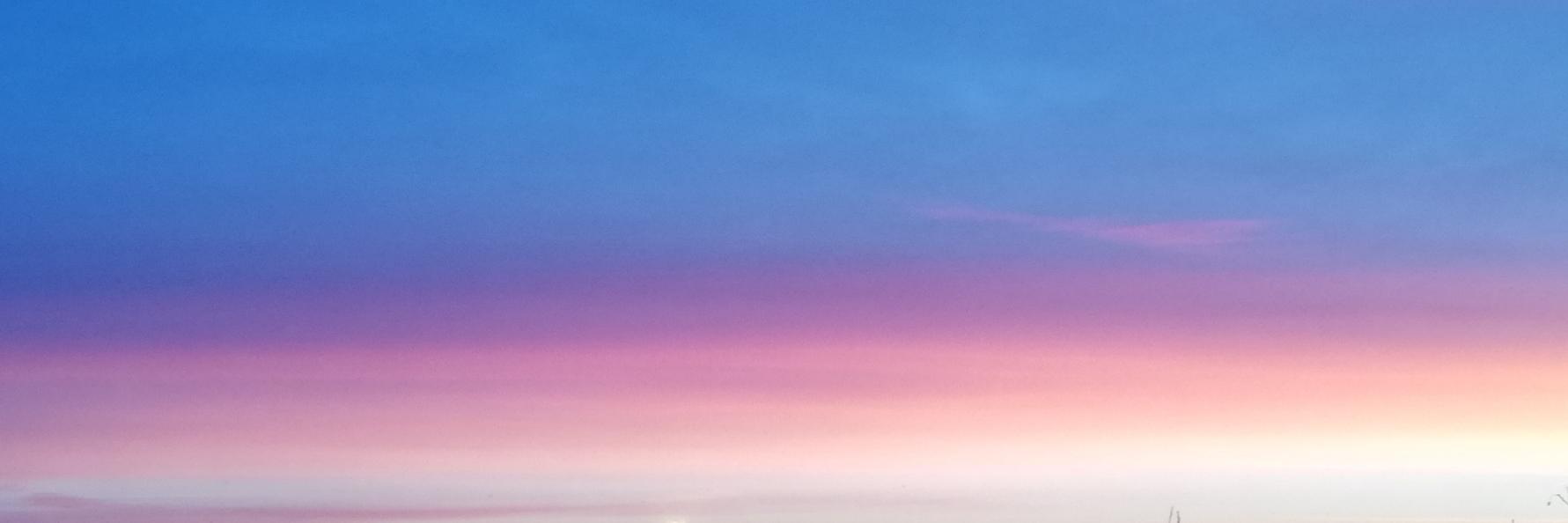 RookNiels's profile banner image