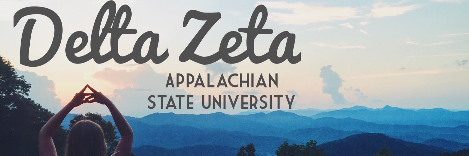 Delta Zeta banner