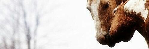 onr94's profile banner image