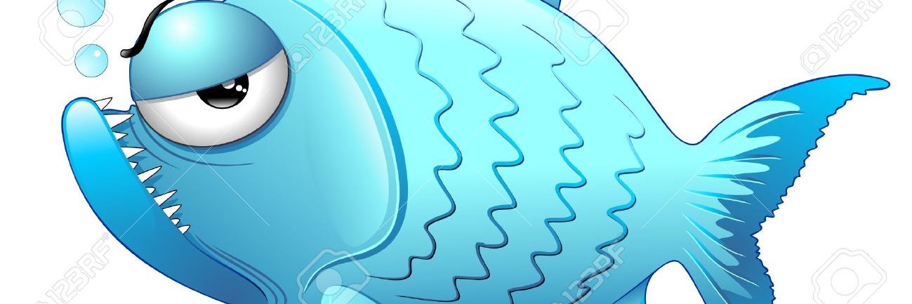 osmanacar78's profile banner image
