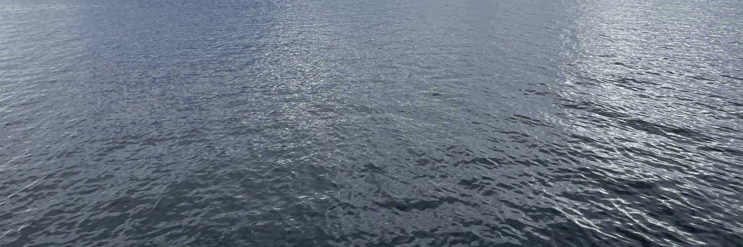 WorldKid⚡️ banner