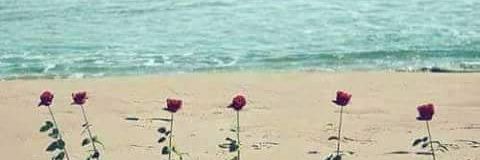 AyaSabry237's profile banner image
