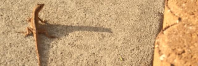 bvaughan21's profile banner image