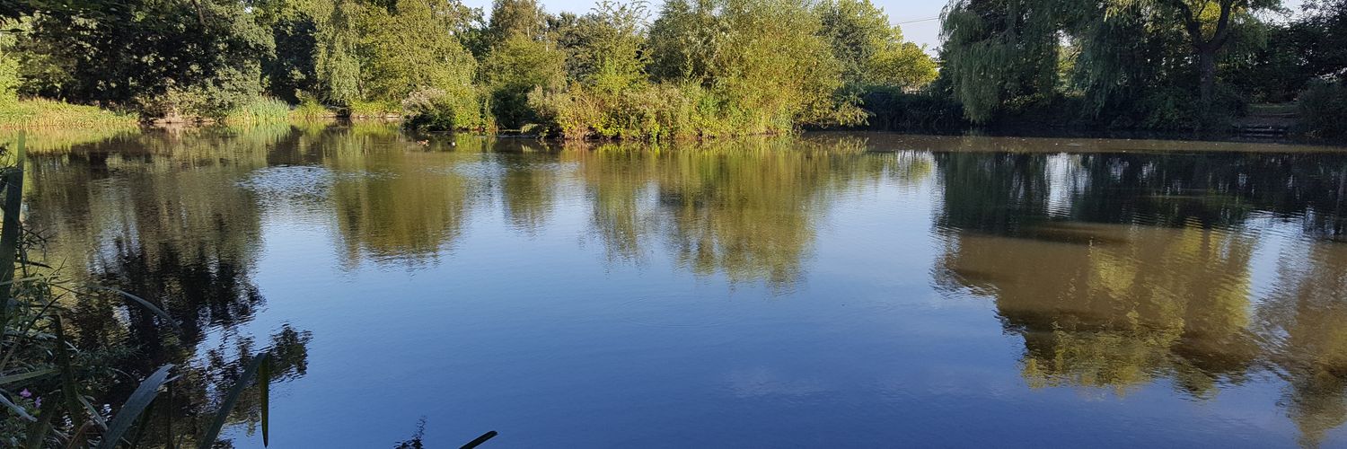 FoldFisheries's profile banner image