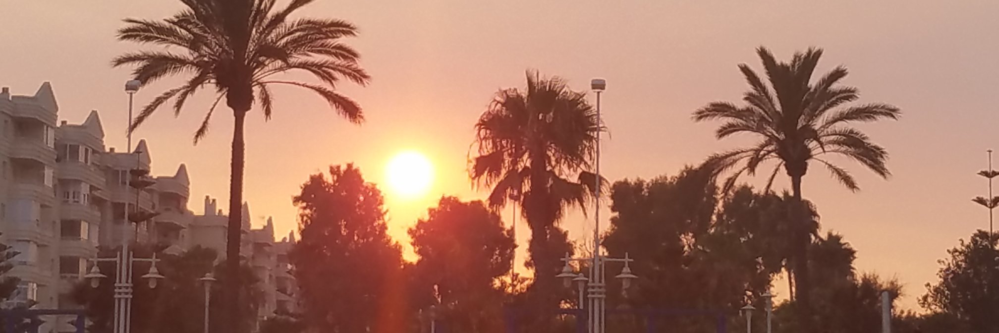 Mely Aguilera banner