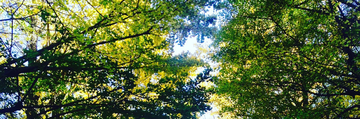 あたけなつこ@ FCE｜Selfee&わくわく文庫 banner