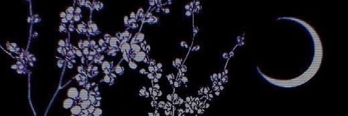 starrymars__'s profile banner image