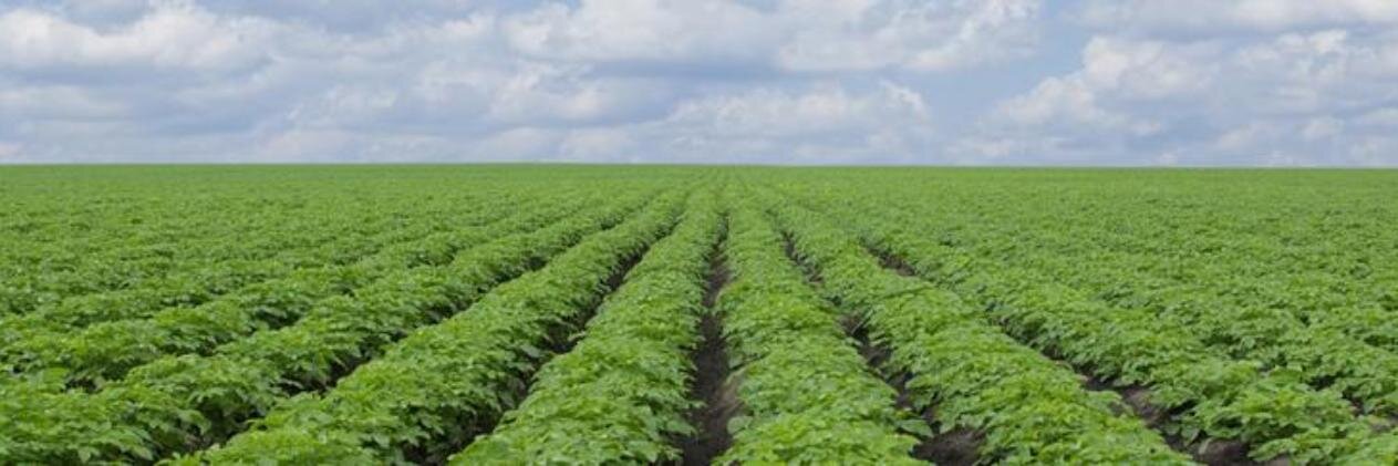 RESFOODProject's profile banner image