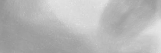 Codie banner