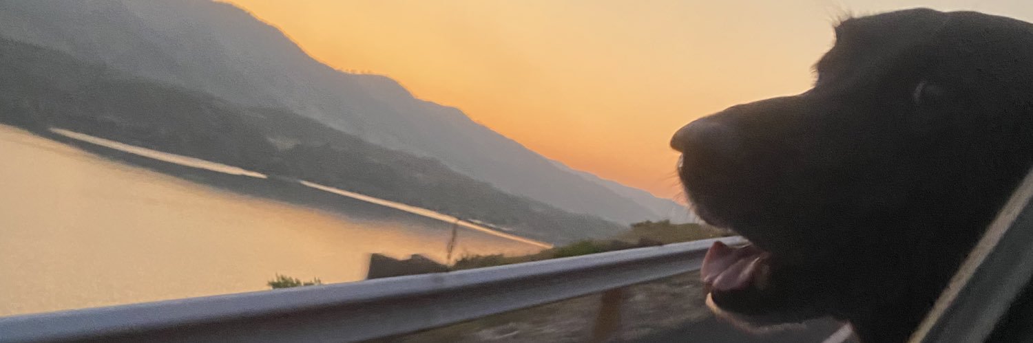 CharlieSteensma's profile banner image