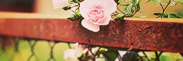 dr_h_q's profile banner image