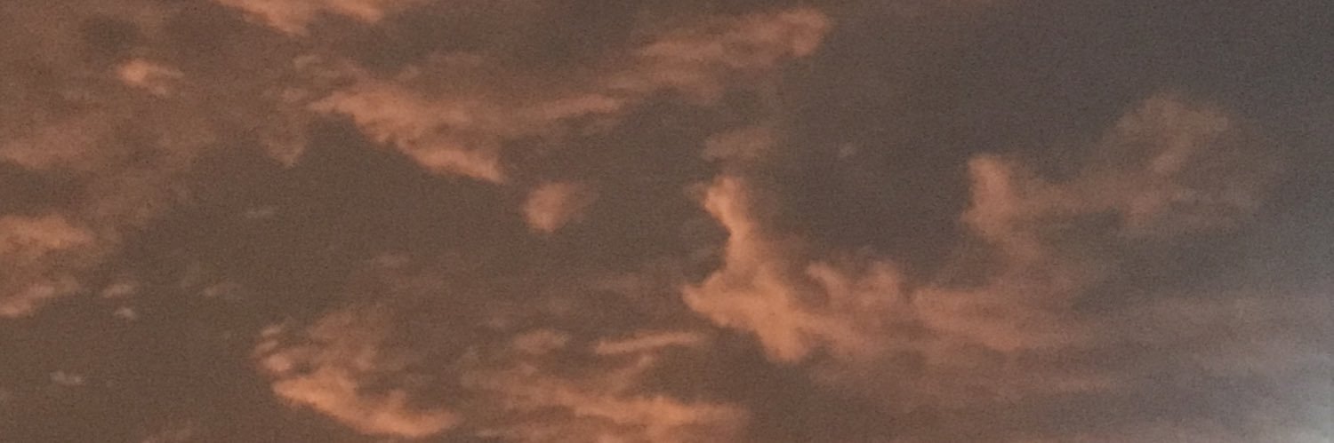 shhfz007's profile banner image