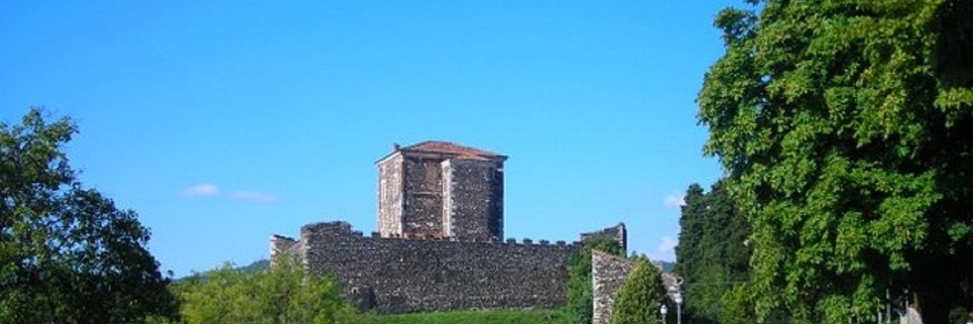 Città di Arzignano banner