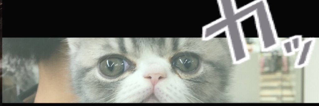 gaomrn's profile banner image