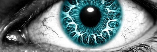 IlvaRupenthal Profile Banner