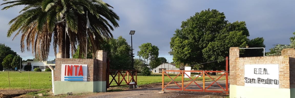 INTA San Pedro banner