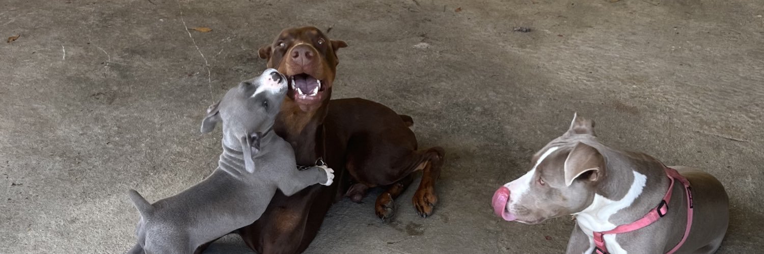 Sweet Brotha Numpsa’s Sister banner