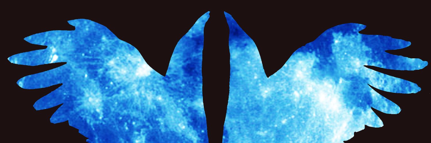 birdsofdawn's profile banner image
