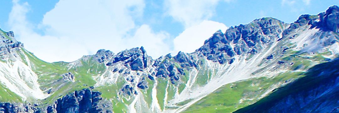 cacu_8aes's profile banner image
