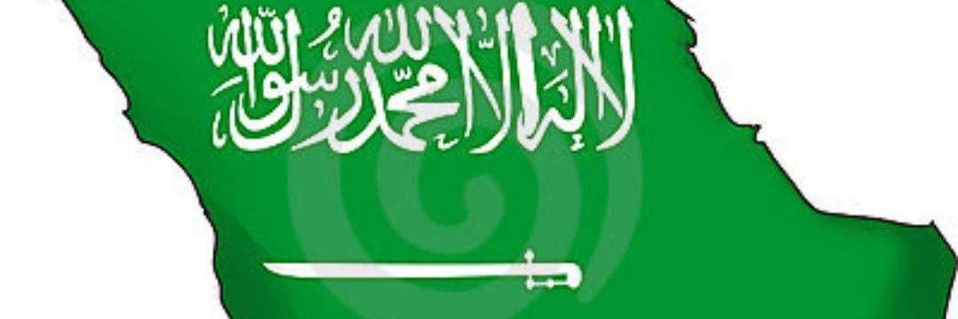 aldplwmasi's profile banner image