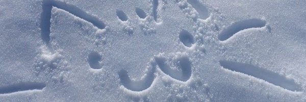 lexazqqc Profile Banner