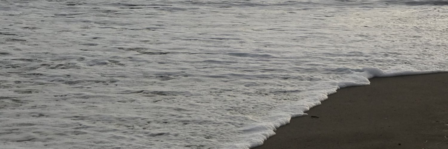 MariaSolMalina banner