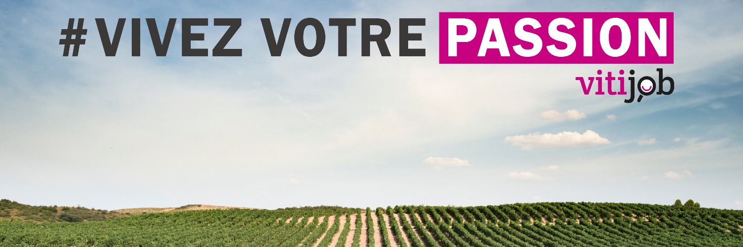 vitijob's profile banner image