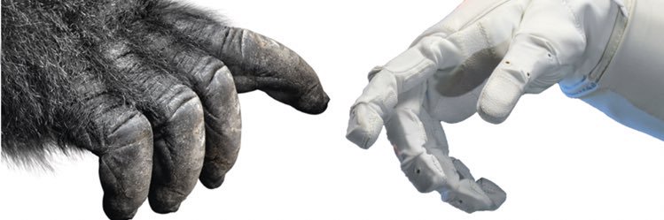 5th from the sun banner