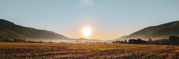 LaetitiaUtzeri Profile Banner