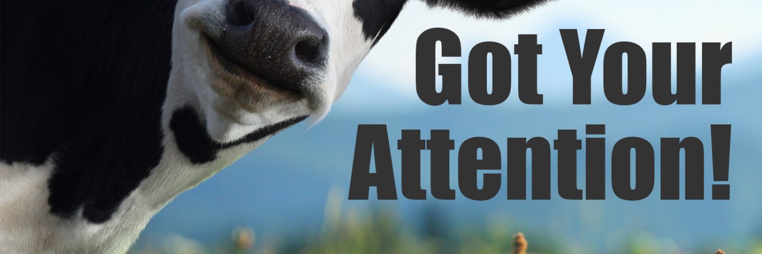 CrookedToothMed's profile banner image