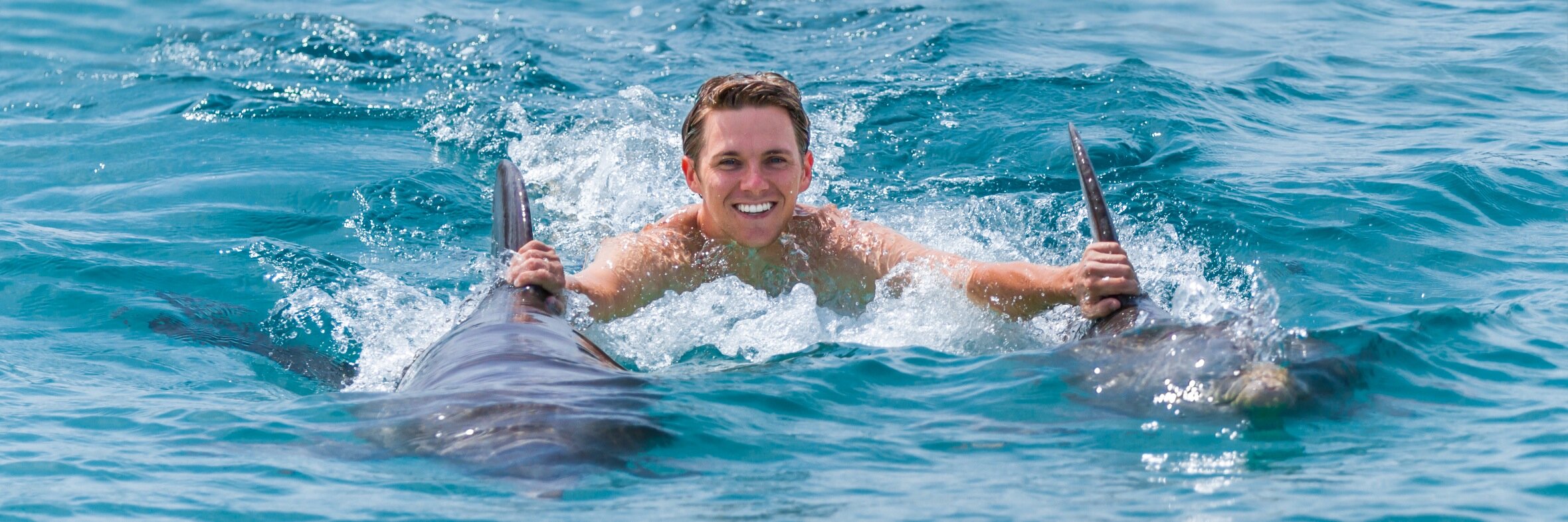 DolphinIslandP's profile banner image