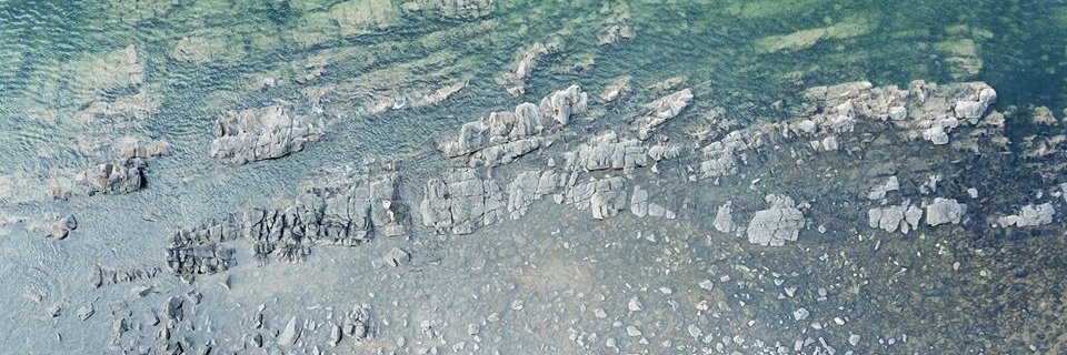 Hannah Lee || she/her banner