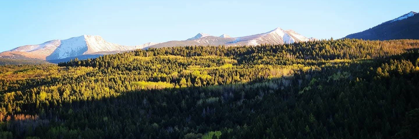 PeasEasy44's profile banner image