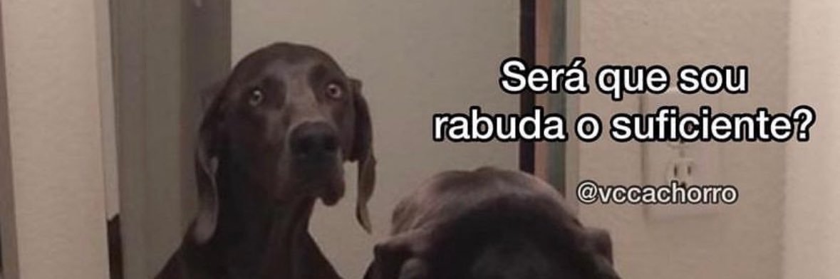 ✨little duda ✨ banner