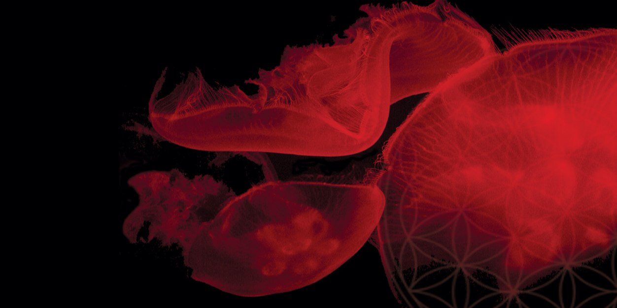 20ShadesOfRed's profile banner image