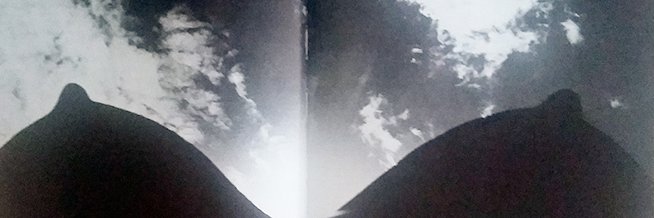 GoldFanch's profile banner image