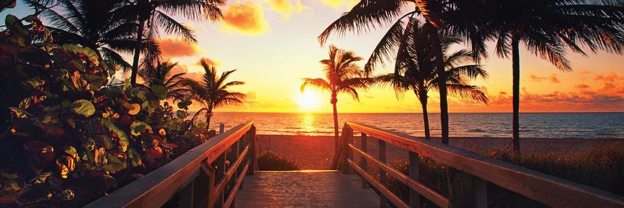 Davinci_Realty_'s profile banner image