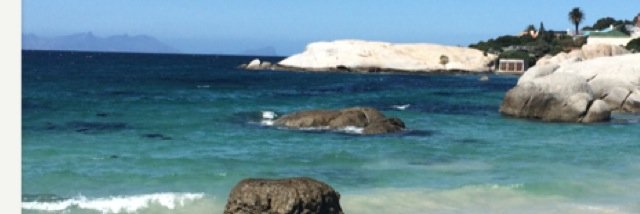 SuridaAudiologist banner