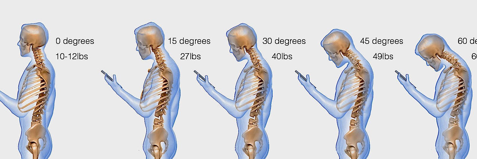 Anne Laure Sellier banner