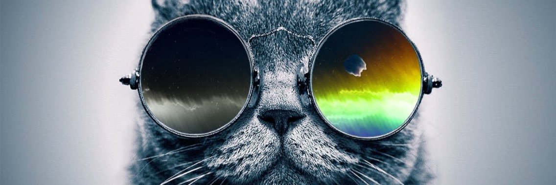 Bitt_17's profile banner image
