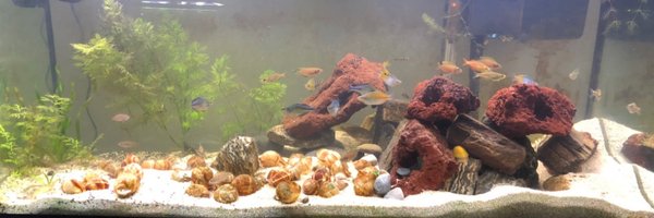 FishToYou18 Profile Banner