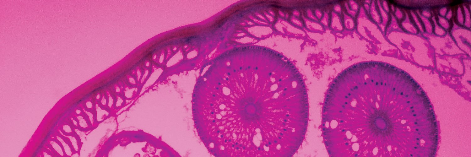 RazorfishHealth's profile banner image