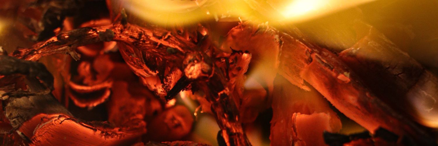 CabbagePsycho's profile banner image