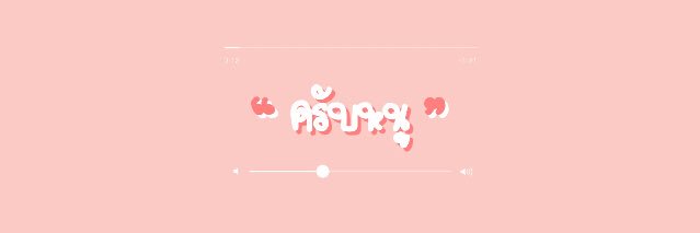 Ziller. banner