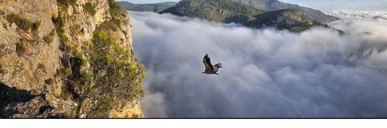Jesus_Lara's profile banner image